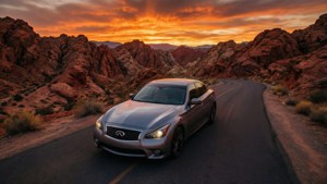 Desert Serpentine