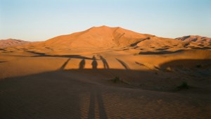 Desert Silence