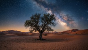 Desert Star Dream