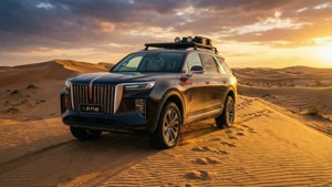 Desert Sun LS7