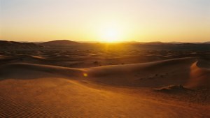 Desert Sunrise Calm