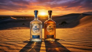 Desert Sunset