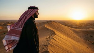 Desert Wanderer