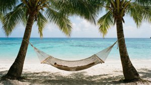 Deserted Beach Hammock