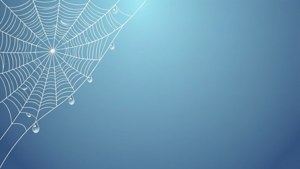 Dewdrop Minimalist Web
