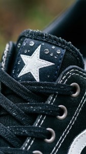 Dewdrop Star Detail