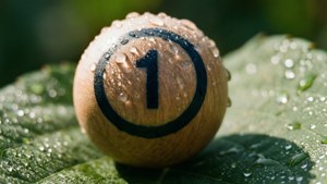 Dewy Bingo Ball 1
