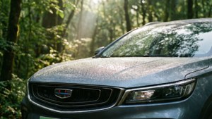 Dewy Forest Encounter