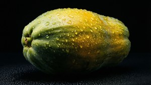 Dewy Pawpaw Studio