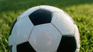 Dewy Pelota Close-up