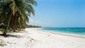 Diani Beach Bliss