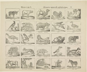 Dieren A.B.C. / histoire naturelle alphabetique