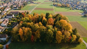 Dietikon Autumn Aerial