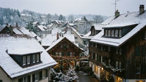 Dietikon Winter Wonderland