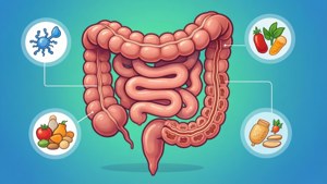 Digestive Infographic Intestine