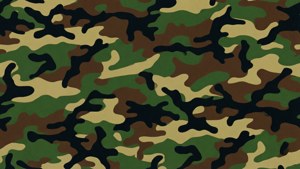 Digital Camouflage