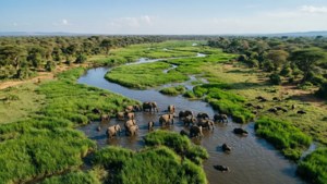 Dinder's Wildlife Haven