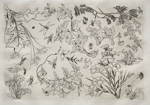 Dinner Service (Rousseau service): Flowers (no. 22)