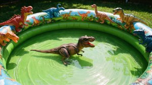 Dinosaur Pool Play