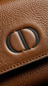 Dior Leather Detail