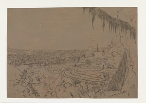 Distant View with a Road and Mossy Branches