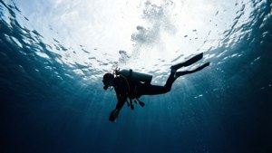 Diver's Silhouette