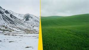 Divided Landscape Line