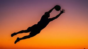 Diving Silhouette