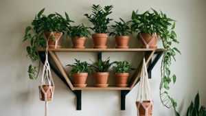 DIY Plant Shelf