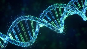 DNA Helix Particle Spin
