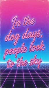 Dog Days Neon