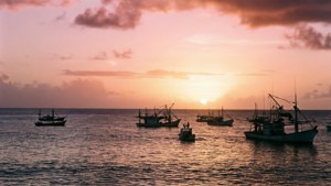 Dominica Sunrise Coast