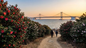 Dongbaek Island Sunset