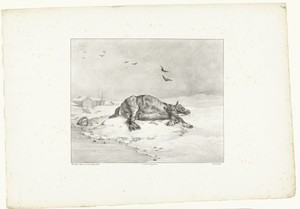 Dood paard