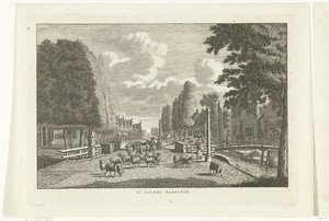 Dorpsgezicht met straat in Sint Jacobiparochie