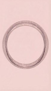 Dotted Circle Frame