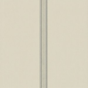 Dotted Double Line