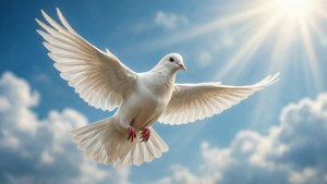 Dove of Peace