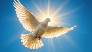 Dove of Pure Peace