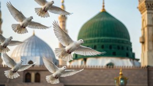 Doves Above Medina