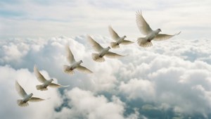 Doves of Peace