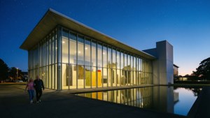 Dowse Museum Twilight