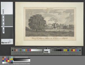 Dr. Johnson's Willow with St. Chad's near Lichfield
