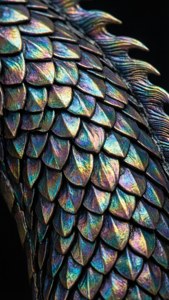 Dragon Scales Pattern