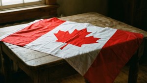 Draped Flag Vintage