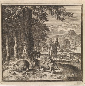 Drie egels aan de rand van een bos