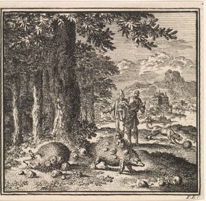 Drie egels aan de rand van een bos