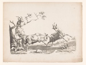 Drie geiten in een landschap