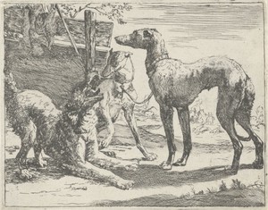 Drie honden