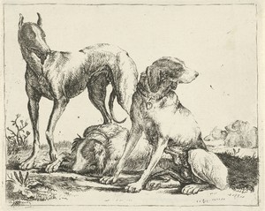 Art by Pauwels van Hillegaert